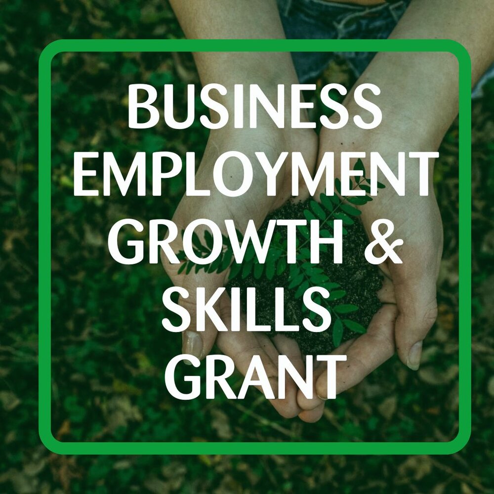 Business employment, growth and skills grant. Photos of hands with fern plant and green border