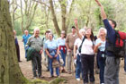 A guided walk group