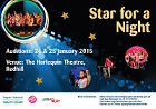Star for a Night poster