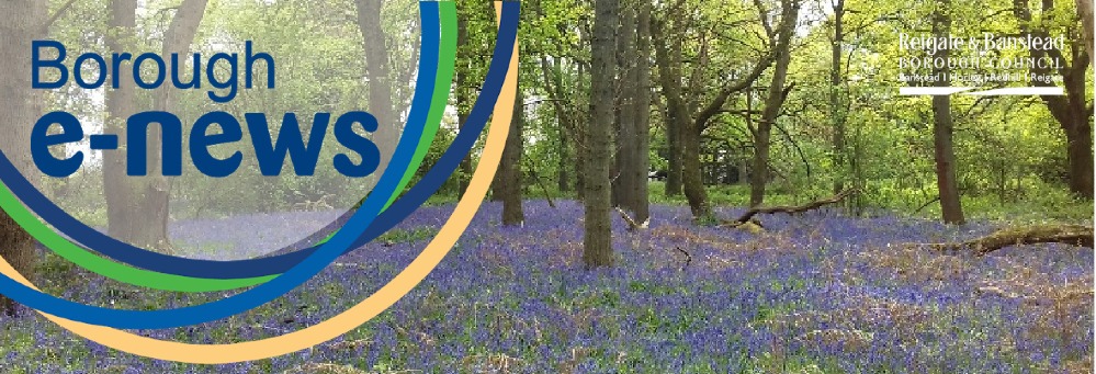 Borough E-News April newsletter showcasing bluebells in Alderstead Heath