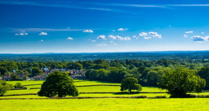 Community urged to help restore nature in Surrey 