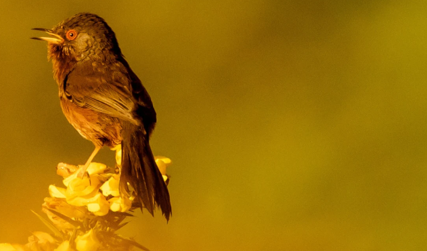 Surrey nature day is on Saturday 28 September 