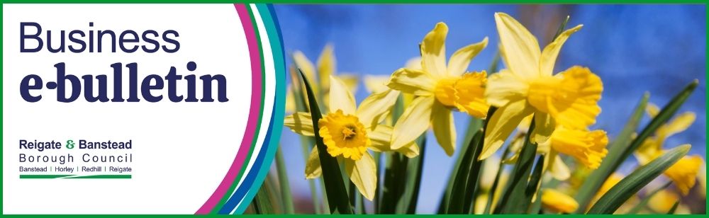 Banner for the Reigate & Banstead Borough Council Business e‑bulletin, showing the council logo on the left and bright yellow daffodils against a blue background on the right.”