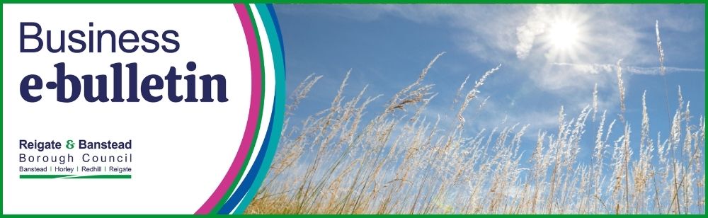 Banner for Reigate & Banstead Borough Council's Business e-bulletin. The left side features the title “Business e-bulletin” above the council logo on a white background with curved teal, blue, and magenta graphic accents. The right side shows tall grasses in sunlight under a bright blue sky with wispy clouds.