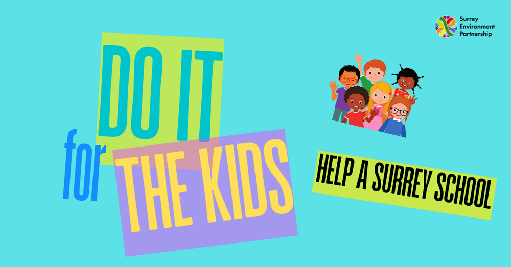 Do it for the kids - help a Surrey school