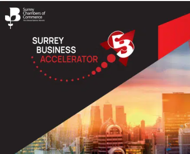 Surrey Business Accelerator graphic with office blocks