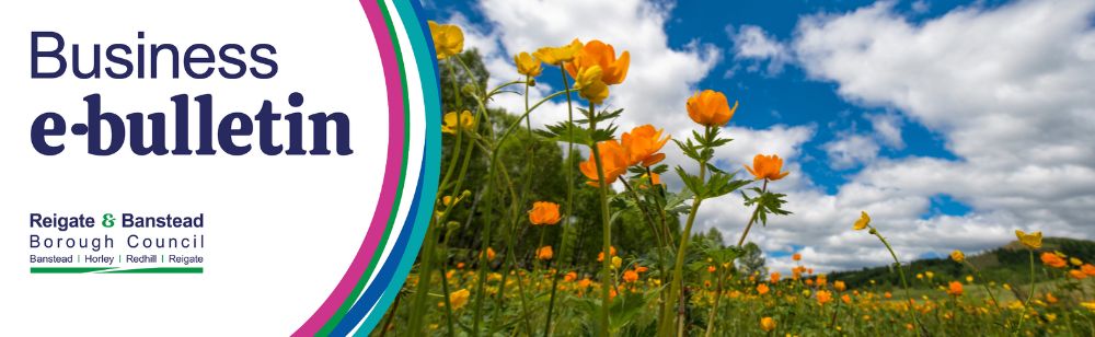 Business ebulletin banner with circles and a photo of yellow flowers and blue sky with clouds