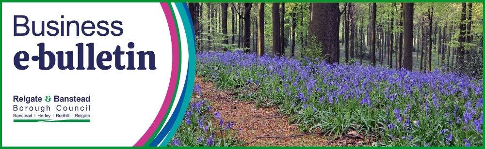 Business e‑bulletin banner for Reigate & Banstead Borough Council, featuring a woodland scene with a path through purple bluebells and tall trees. Council logo and ‘Business e‑bulletin’ text displayed on the left.