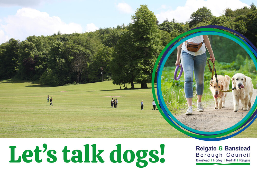 Let's talk dogs!