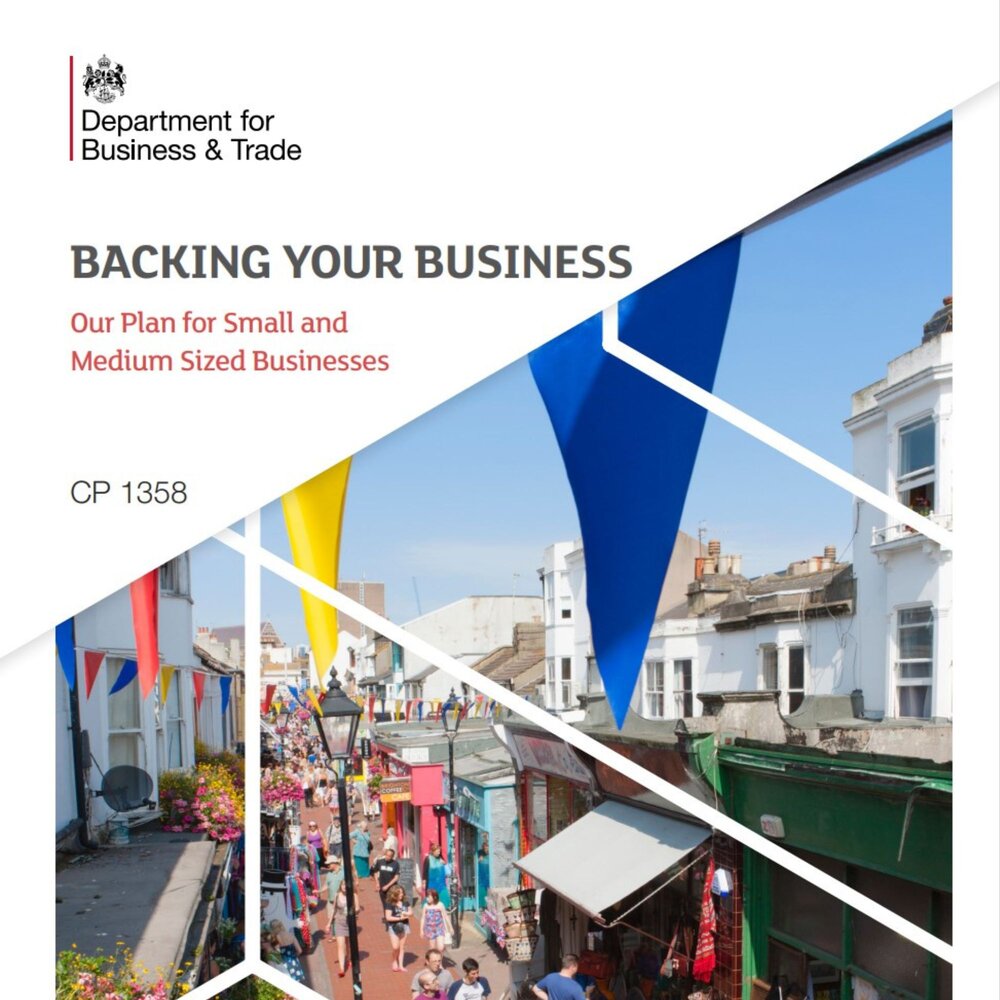 Image of report - backing your business - with picture showing a highstreet from above and bunting