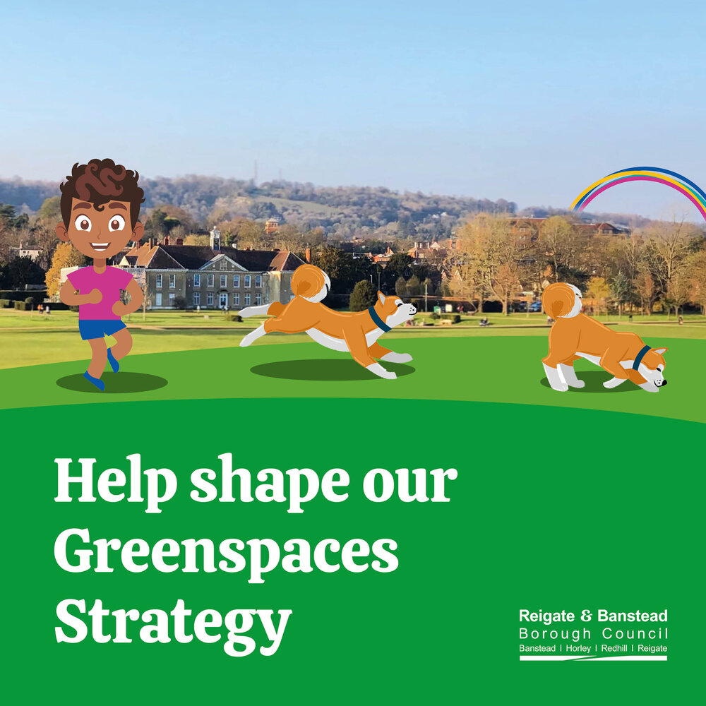 Help shape our greenspaces strategy