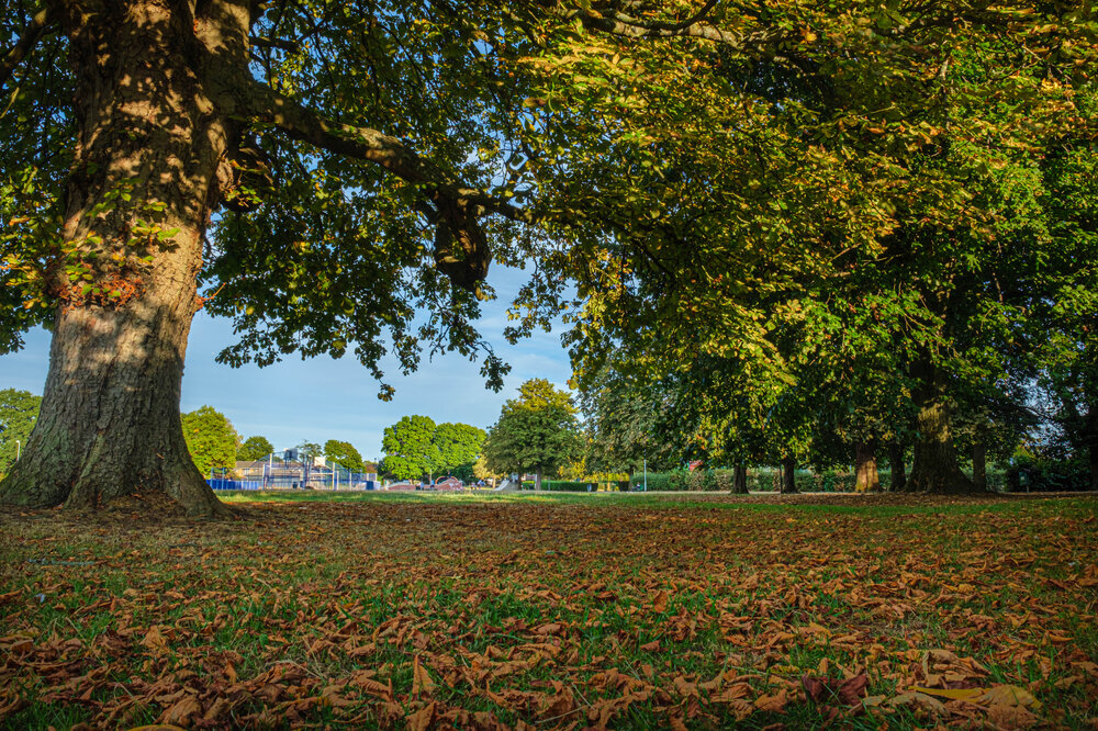 Horley Recreation Ground (photos credit Horley Town Council)