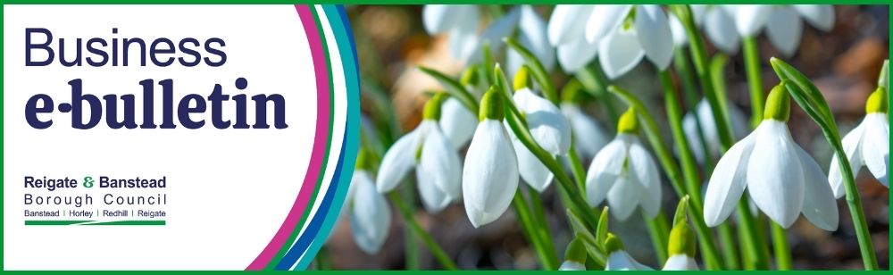 Banner for the Business e‑bulletin from Reigate & Banstead Borough Council, featuring white snowdrop flowers on the right and the council’s logo on the left.