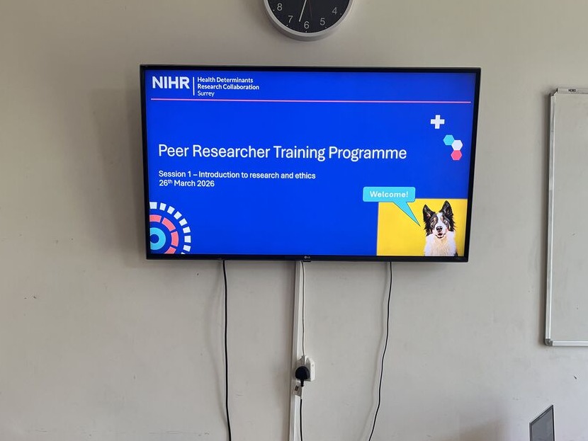 Peer Researcher Training Programme