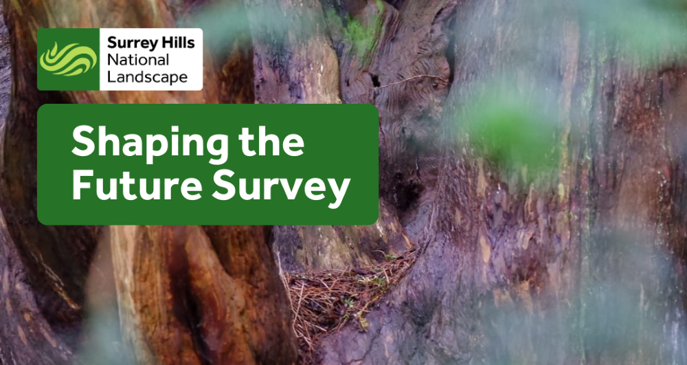 Image of a tree with the text 'Shaping the Future Survey'