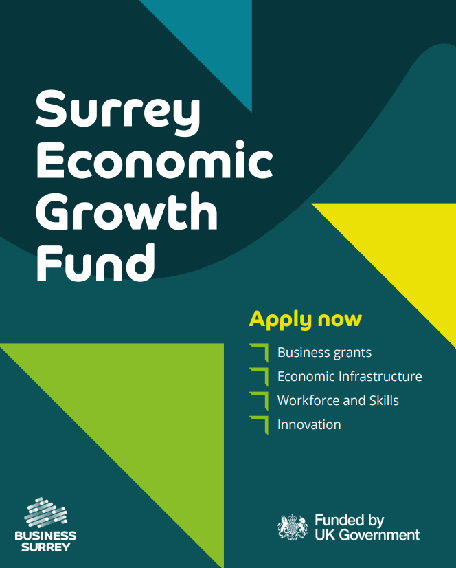 Green and yellow graphic with triangles for Economic Growth Fund