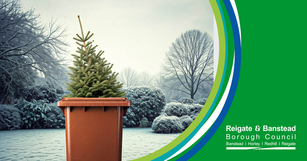 A Christmas tree in a garden waste bin in a frost garden