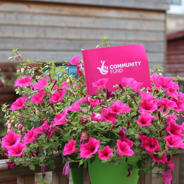 Pink flowers in a green tub with a pink card that says community fund.