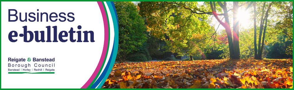 Banner for Reigate & Banstead Borough Council's Business e-bulletin. The left side features the title “Business e-bulletin” and the council logo on a white background with curved blue, green and purple accents. The right side shows a sunlit autumn park scene with trees and fallen leaves covering the ground.