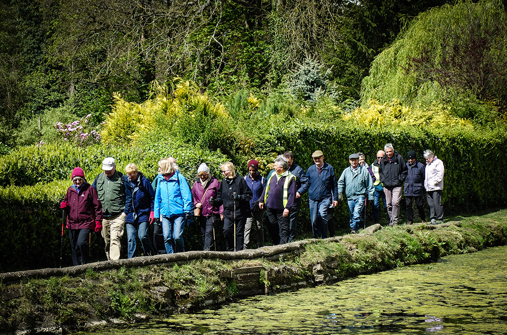 A picture of people on a walk as part of the YMCA wellbeing walks