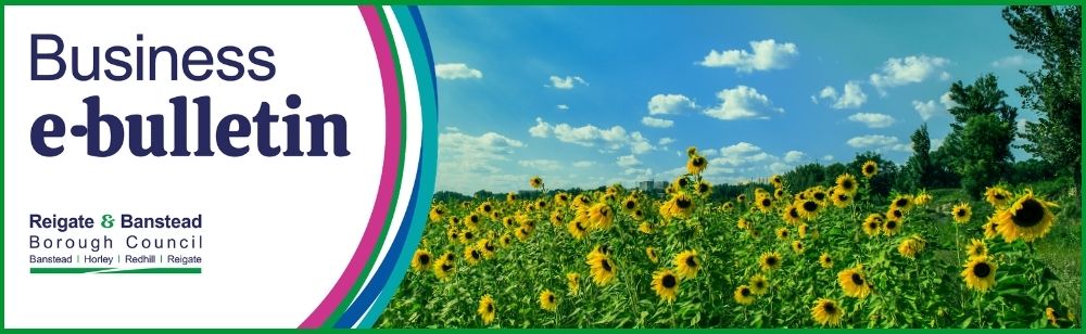 Banner for the Reigate & Banstead Borough Council Business e-bulletin. The left side contains the title “Business e-bulletin” and the Reigate & Banstead Borough Council logo with the locations Banstead, Horley, Redhill and Reigate. The right side shows a vibrant field of yellow sunflowers under a blue sky with scattered white clouds, framed by curved council brand colours.