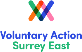 VASE Surrey Logo