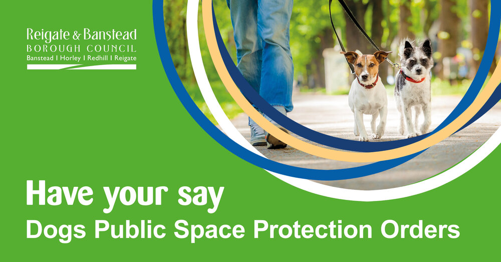 Have your say on dogs Public Space Protection Orders. Image of two dogs on leads and a dog walkers legs