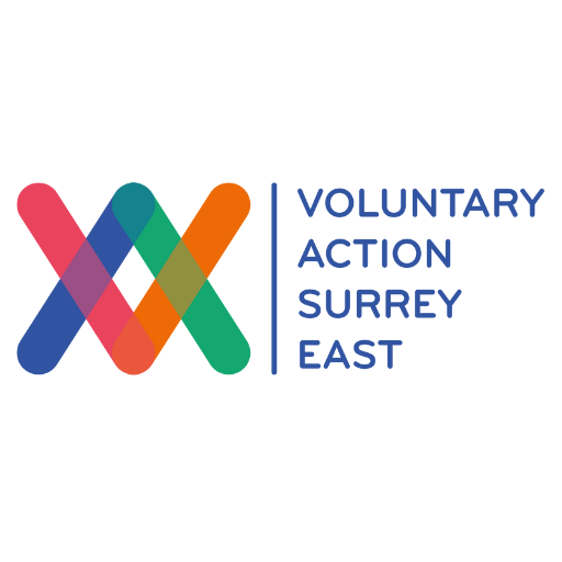 Voluntary Action East Surrey Logo