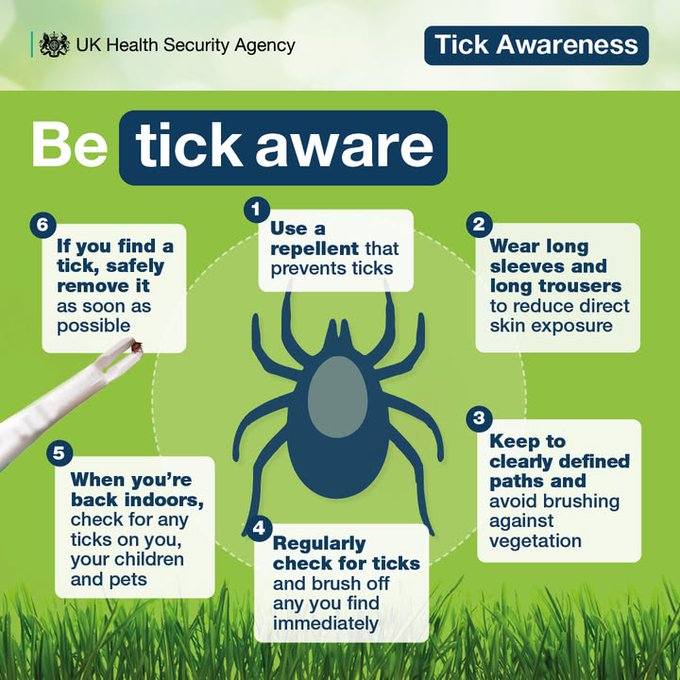 UKHSA tick awareness infographic