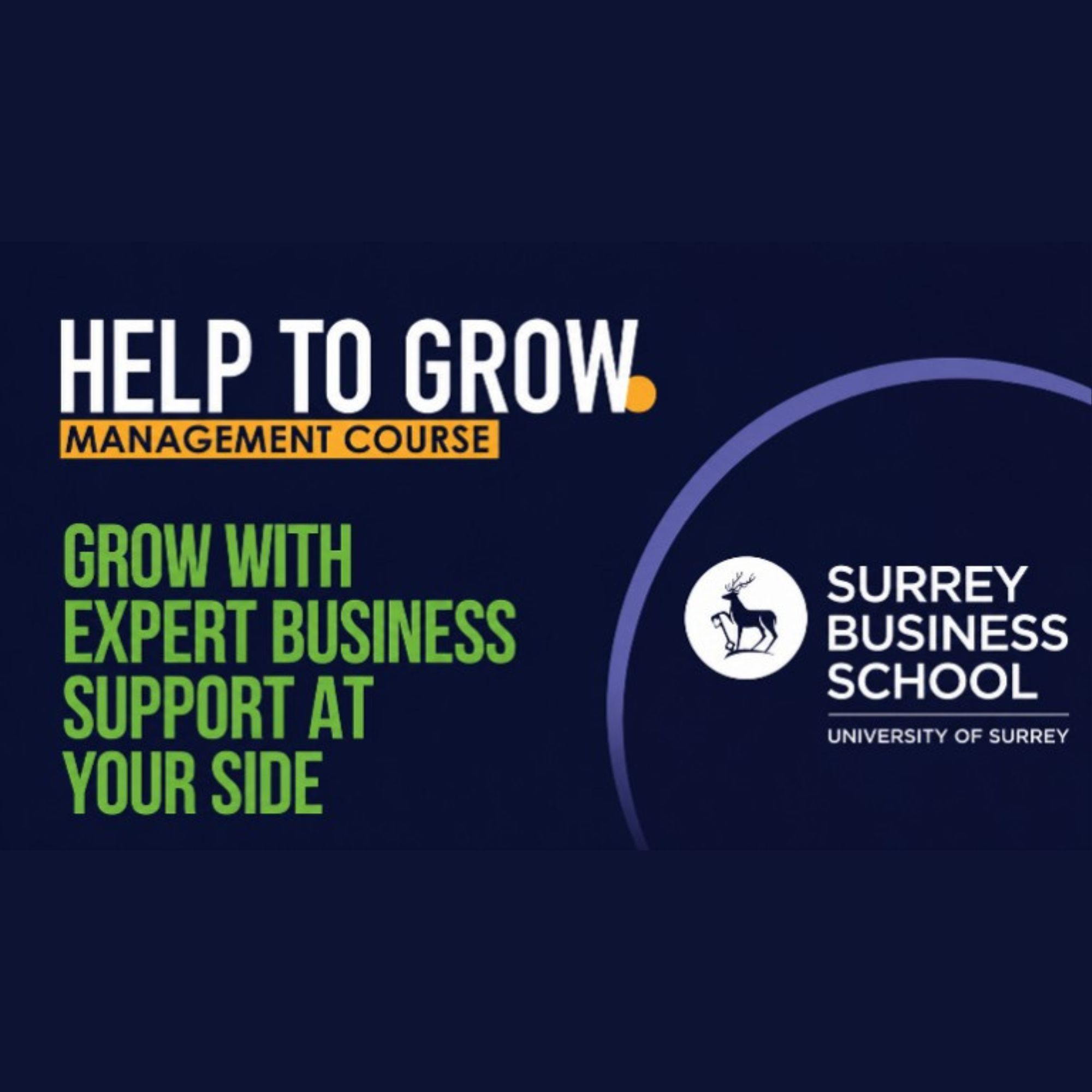 Promotional graphic for the Help to Grow: Management Course. White and green text on a dark blue background reads "Help to Grow Management Course" and "Grow with expert business support at your side." The Surrey Business School, University of Surrey logo appears on the right alongside circular graphic elements.